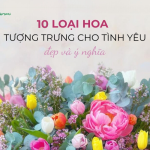 10 Loài hoa mang thông điệp tình yêu đẹp và ý nghĩa nhất