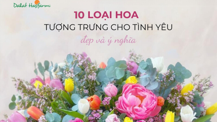 10 Loài hoa mang thông điệp tình yêu đẹp và ý nghĩa nhất
