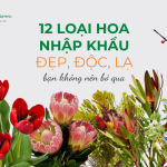 12 Loại hoa nhập khẩu đẹp, độc, lạ mà bạn không nên bỏ qua
